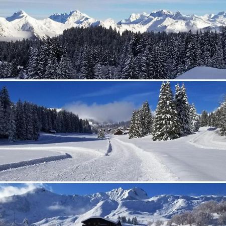Taninges Studio Cabine Praz De Lys מראה חיצוני תמונה