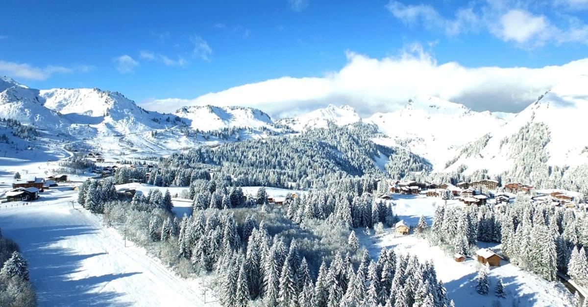 Taninges Studio Cabine Praz De Lys מראה חיצוני תמונה