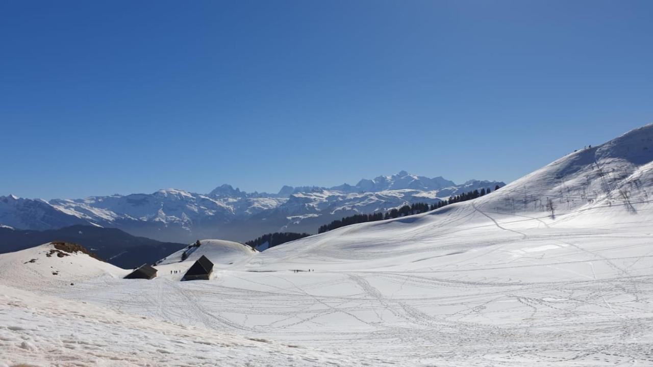Taninges Studio Cabine Praz De Lys מראה חיצוני תמונה