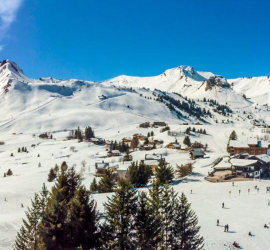 Taninges Studio Cabine Praz De Lys מראה חיצוני תמונה
