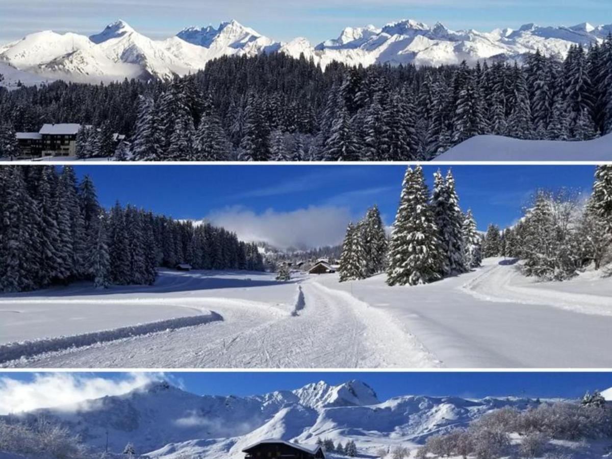 Taninges Studio Cabine Praz De Lys מראה חיצוני תמונה