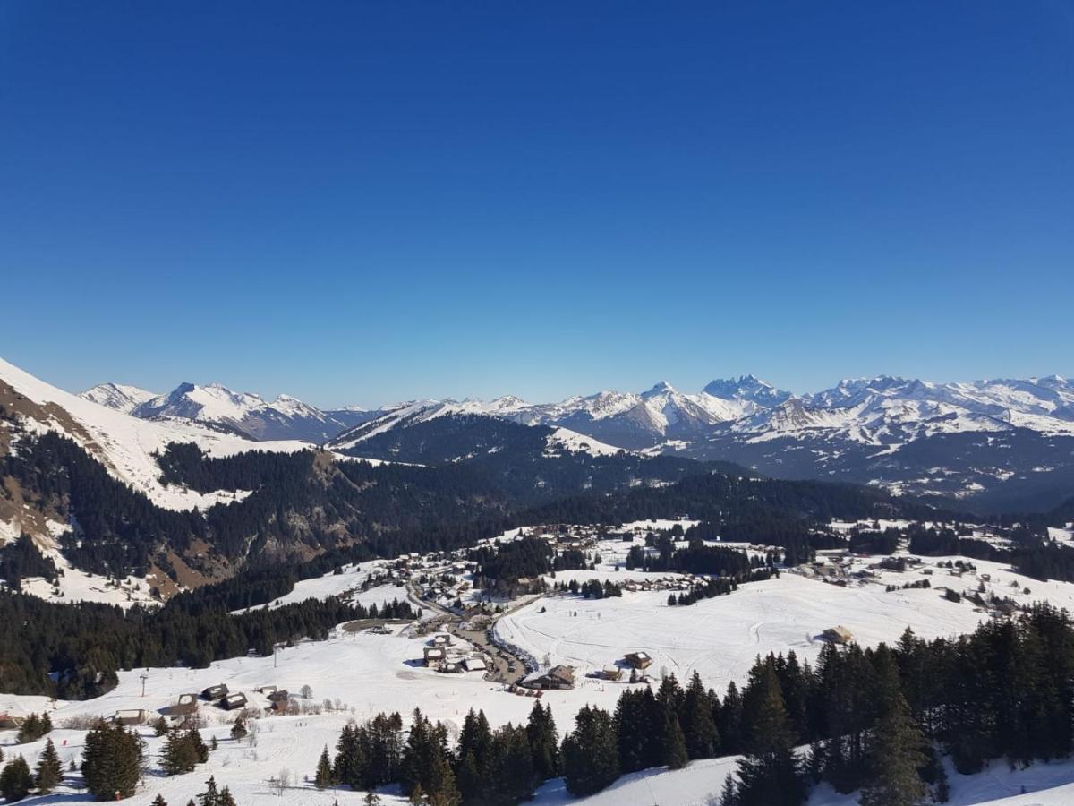 Taninges Studio Cabine Praz De Lys מראה חיצוני תמונה